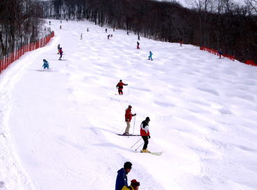 �ԂȂ̖؊w���̃��C���Q�����f�u�ԂȂ̖؃R�[�X�ł��v