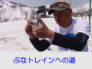 �Ԃȃg���C���ւ̓�